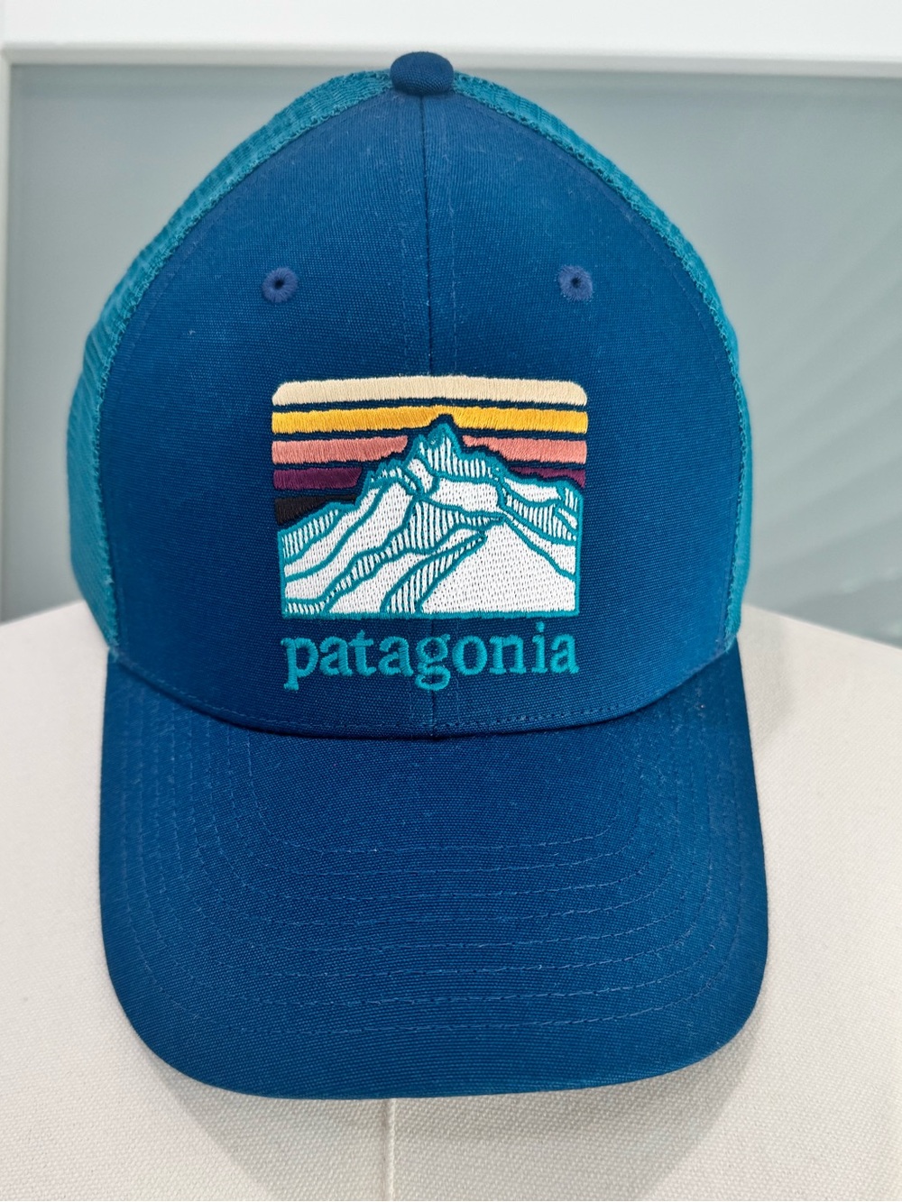 NWT🔖Patagonia Line Logo Ridge LoPro Trucker Hat Blue Teal